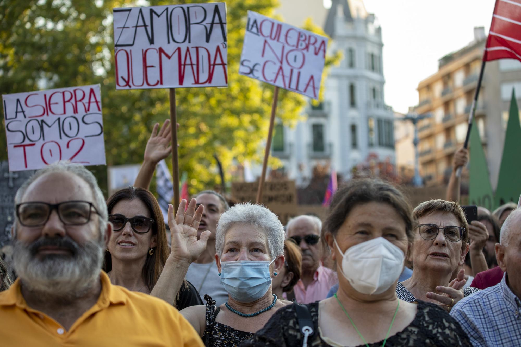 Manifestación Zamora Incendios forestales 28-07-2022 - 3